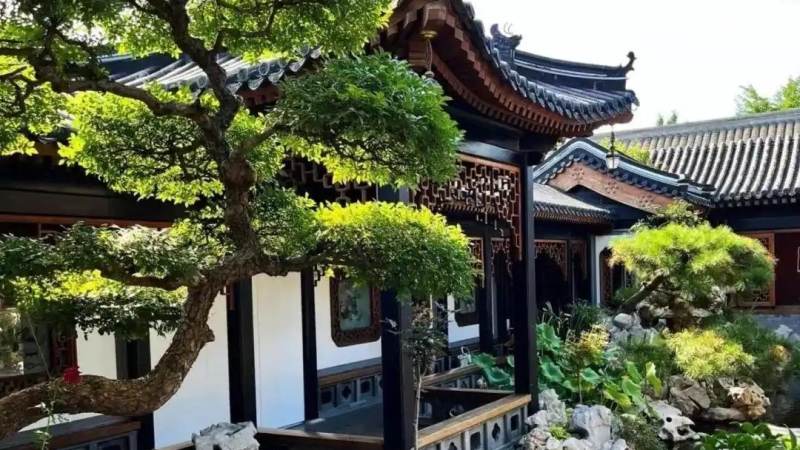 园林绿化精选热点配图：智慧园林监测设备安装现场